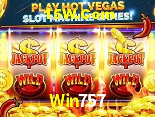 Sistemas de Segurança Win757